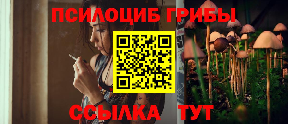 Галлюциногенные грибы Psilocybine cubensis Полысаево